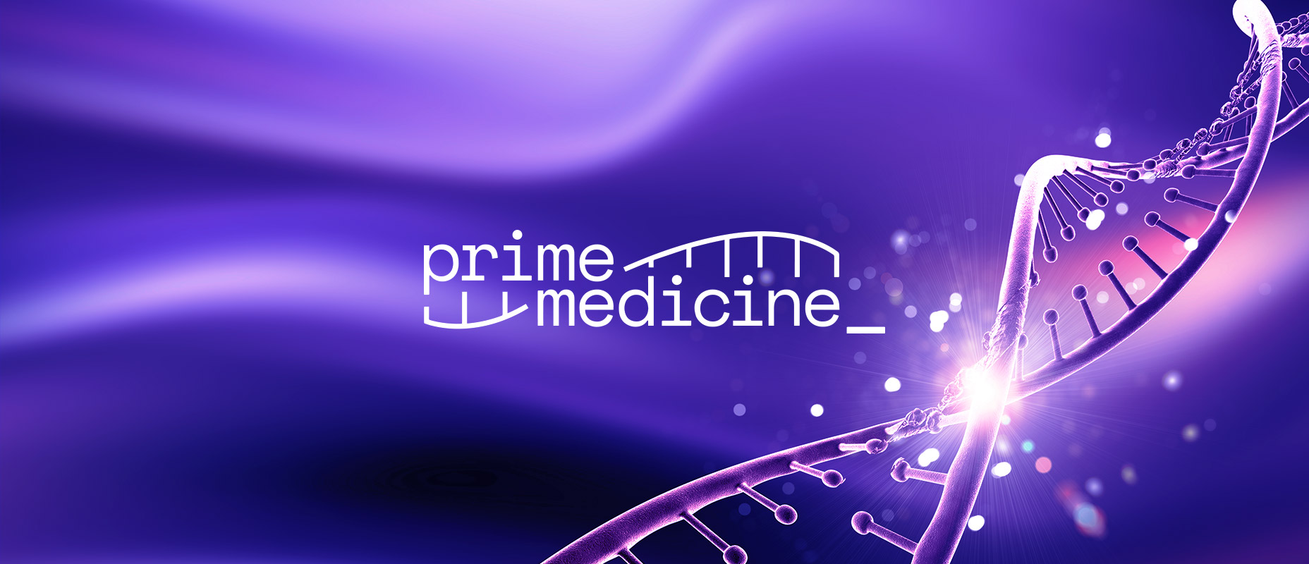 Prime Medicine IPO: The Largest Biotech Placement in 2022