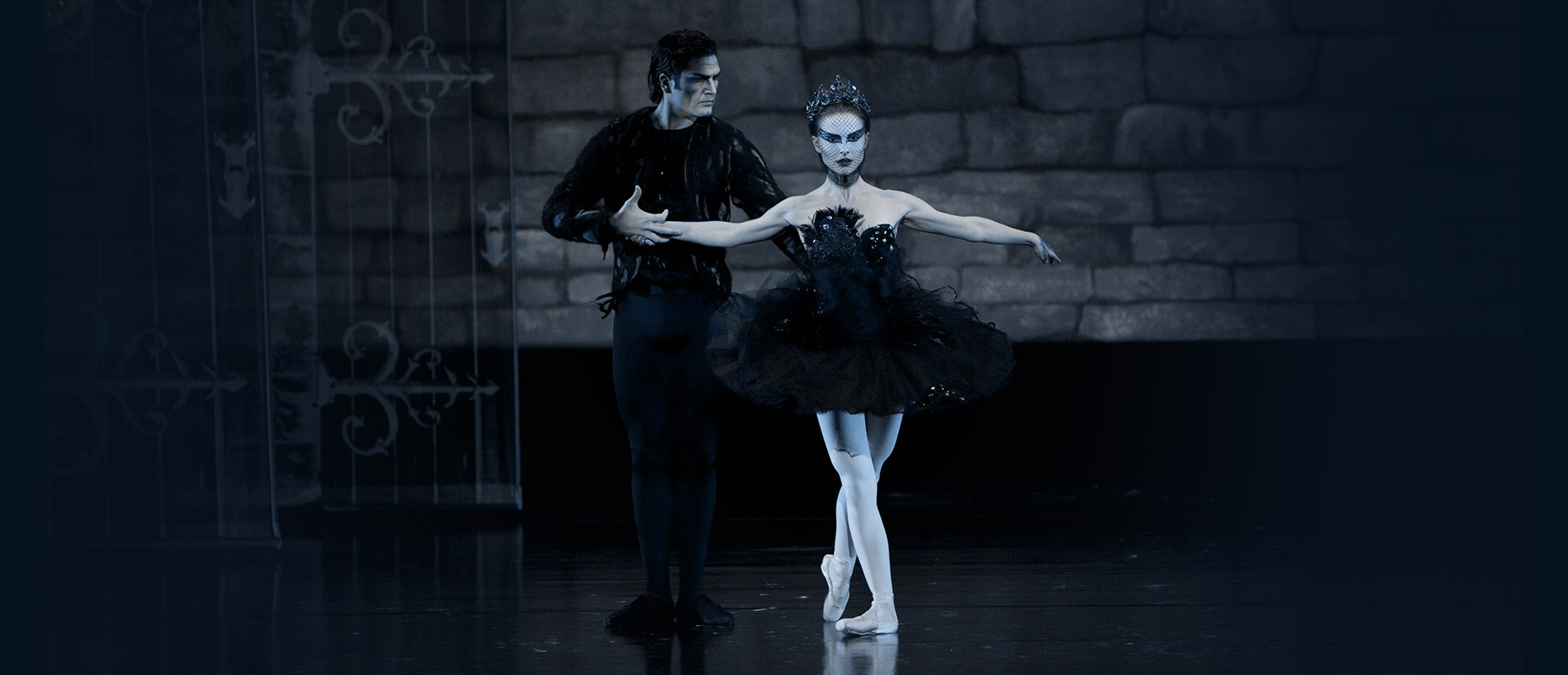 What is a Black Swan Event and How Does It Impact Stock Markets?