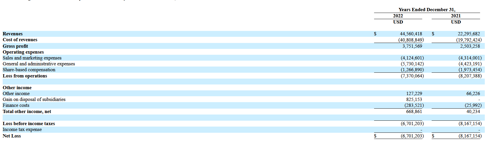 Financial performance of WeBuy Global Ltd