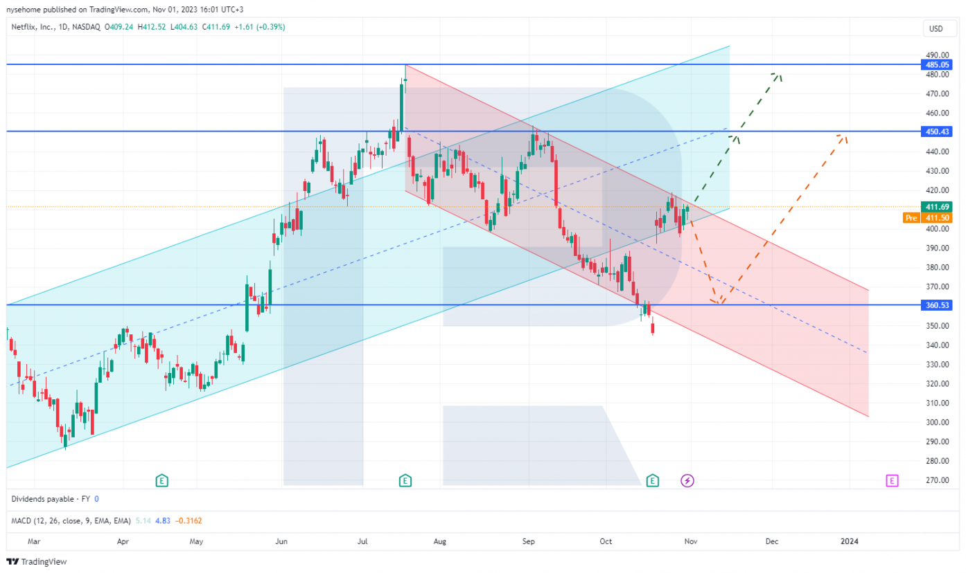 Netflix Inc. stock chart*